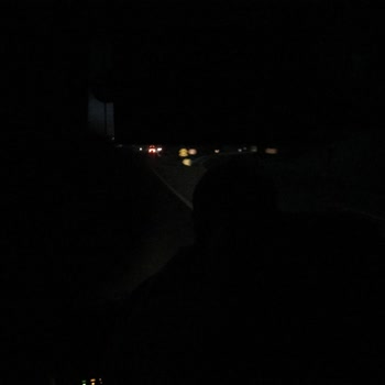 Pamukkale Turizm Tehlikeli Taşımacılık Dikkatsizlik