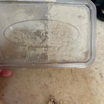 BİM Ceviz Kabuğu Çıktı