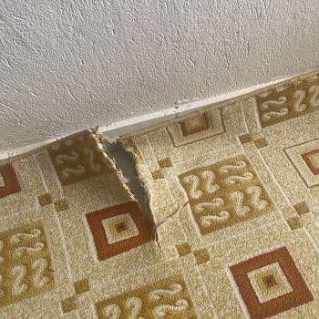 Güven Halı Yıkama (Konya) Halımızı Yırtık Gönderdiler