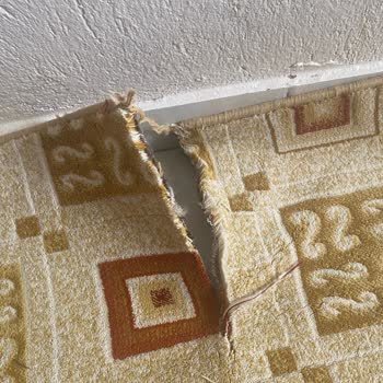 Güven Halı Yıkama (Konya) Halımızı Yırtık Gönderdiler