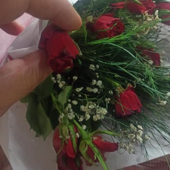 Çiçek Sepeti Görselle Uyuşmayan Küçük Güller Ve Yetersiz Müşteri Hizmeti