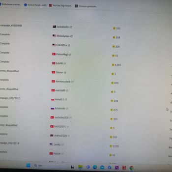 Coinpayu Anket Çözdüm Puanım Yatmadı