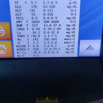 Yanlış Teşhis Ve Tedavi