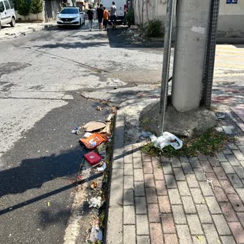 Gebze Belediyesi Gebze'deki Temizlik Sorunu İçin Acil Çözüm Bekliyoruz