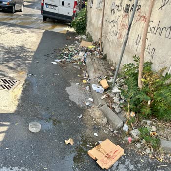 Gebze Belediyesi Gebze'deki Temizlik Sorunu İçin Acil Çözüm Bekliyoruz