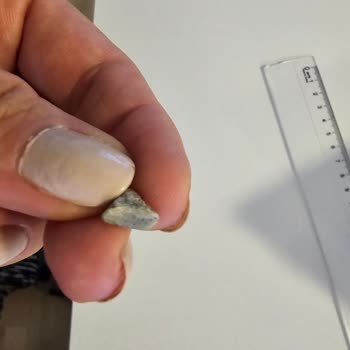 Dardanel Sandviçten Taş Çıktı