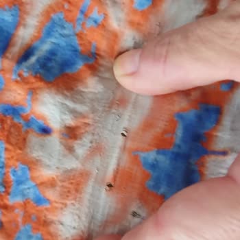 By Elvan Varoğlu (levin_butik) Burhaniye'deki Butikten Alışveriş Deneyimi