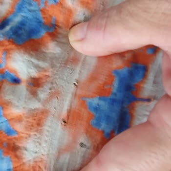 By Elvan Varoğlu (levin_butik) Burhaniye'deki Butikten Alışveriş Deneyimi