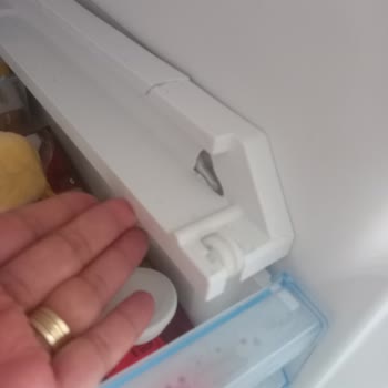 Bosch Marka Buzdolabı Pişmanlığı