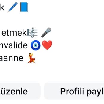 Instagram Profil Müziği Görünmüyor