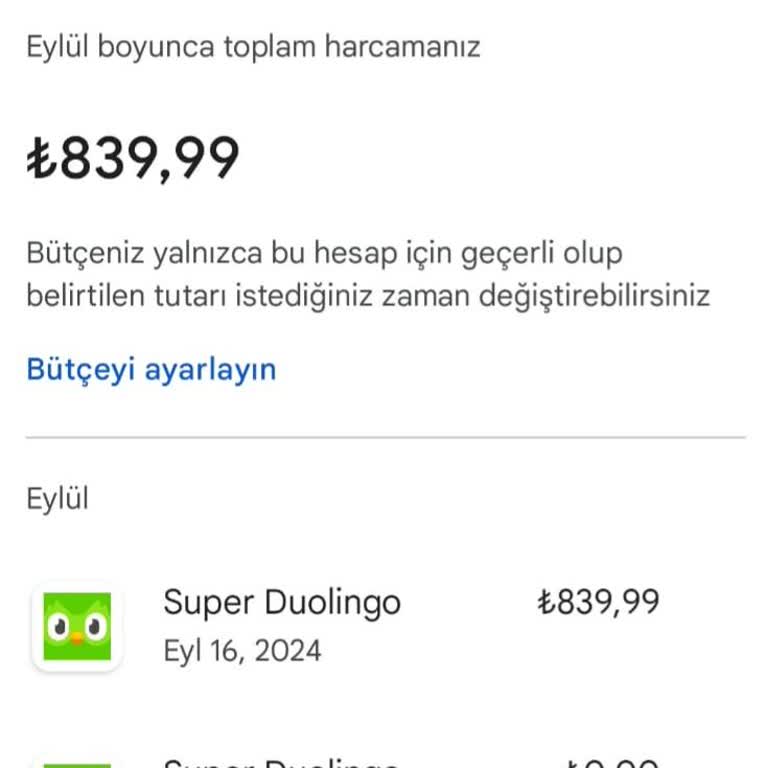 Dualingo İptal Ücreti İadesi