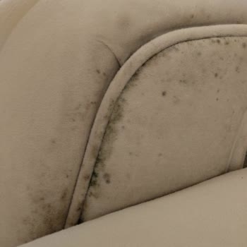 Bellona Mobilya Mağduriyeti Ve Müşteri Hizmetleri Sorunları