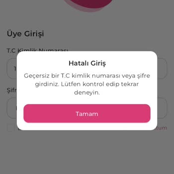 Tev'e Giriş Yapamıyorum