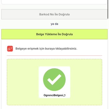 Tev'e Giriş Yapamıyorum