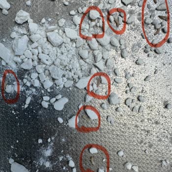 Söke Undan Kurt Çıktı!