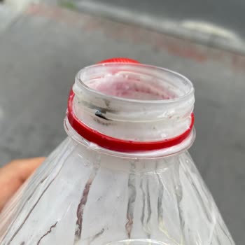 Eker Ayran Kapağındaki Şüpheli Siyahlık