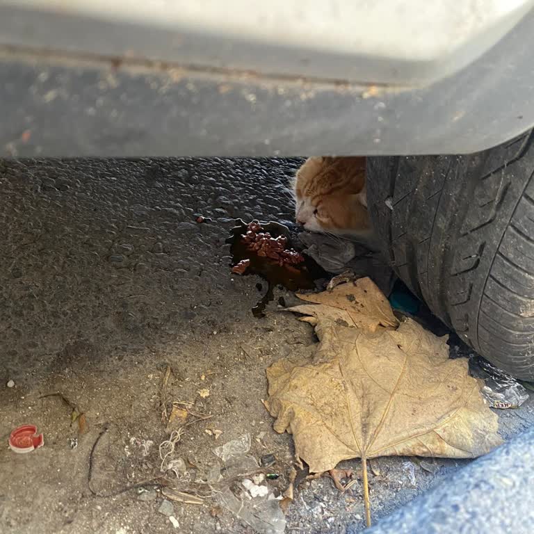 Esenler Belediyesi İletişim Hattındaki İletişimsizlik