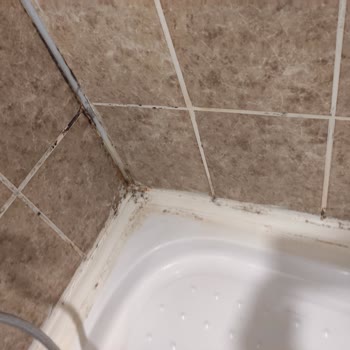 Tatilbudur Urlaub enttäuschend, keine Stornierung möglich und mangelhafte Hotelbedingungen