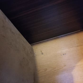 Tatilbudur Urlaub enttäuschend, keine Stornierung möglich und mangelhafte Hotelbedingungen