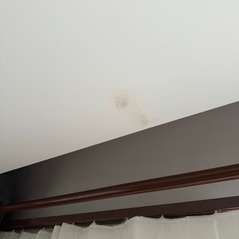 Evim Perde Aydın Rustik Takamadı