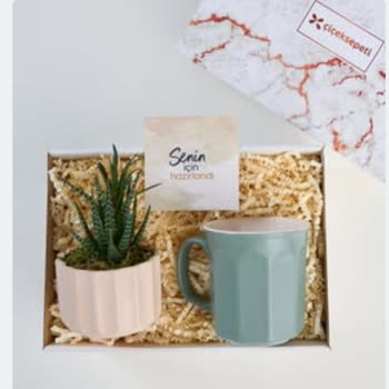 Çiçek Sepeti Çiçeksiz Hediye Gönderdi!