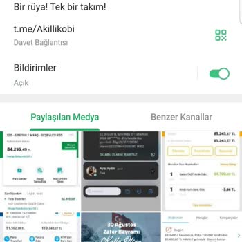 Akillikobi.shop isimli sahte ihale Platformunda Yaşadığım Büyük Maddi Kayıp