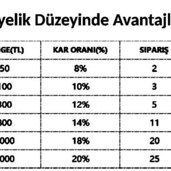 Akillikobi.shop isimli sahte ihale Platformunda Yaşadığım Büyük Maddi Kayıp