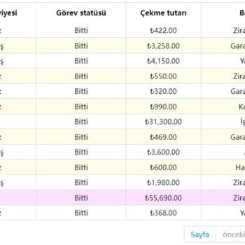 Akillikobi.shop isimli sahte ihale Platformunda Yaşadığım Büyük Maddi Kayıp