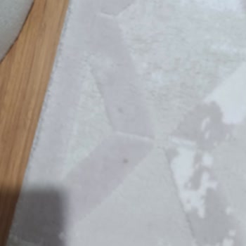Antibakteriyel Halı Yıkama Halıları Yıkamadan Getirdi
