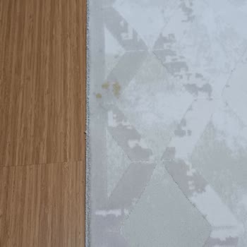 Antibakteriyel Halı Yıkama Halıları Yıkamadan Getirdi