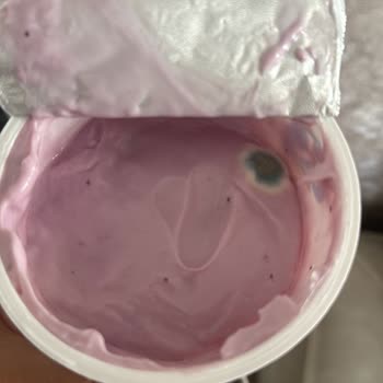 Sek Yoğurt Küflü Çıktı