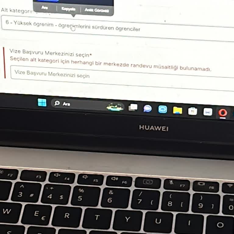 VFS Global Vize Randevusu Bulamama