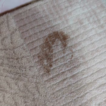 İnci Halı Yıkama (Eskişehir) İnci Halı Yıkama Hizmetinde Lekeler Çıkmadı