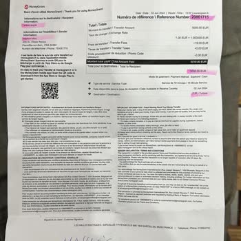 MoneyGram Transfer Fraud: 5,000 Euro Withdrawn by Someone Else Without My ID