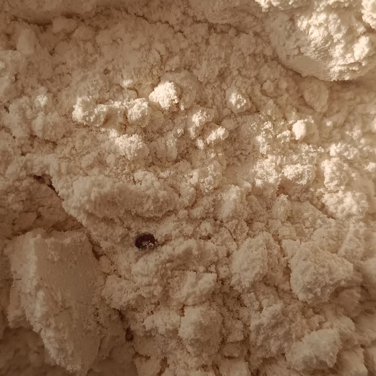 Migros 5 Kiloluk Söke Un Böceklenmesi Sorunu