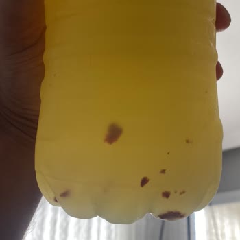 Kilikya Limonata Kilikya Şalgam