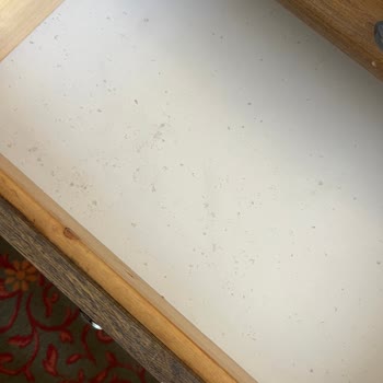 Özkaymak İncekum Hotel Temizlik Ve Hizmet Kalitesinden Memnun Kalmadık