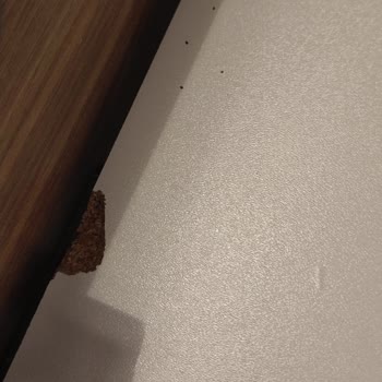 BTC Mobilya İlgisizliği Ve Mağduriyeti