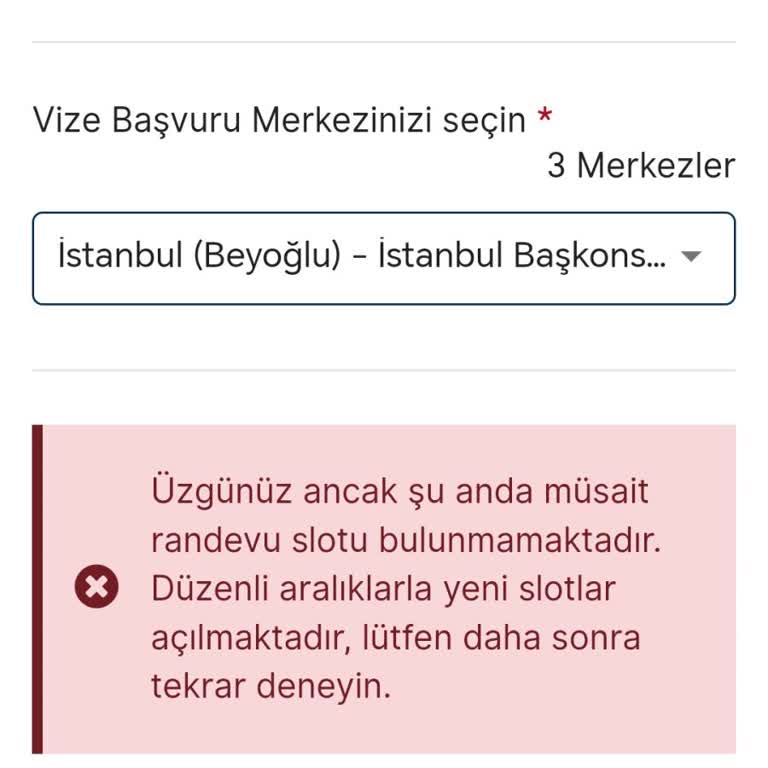 VFS Global Devlet El Koymalı