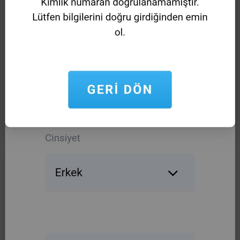 Microfon.co Bilgi Güncellemiyor