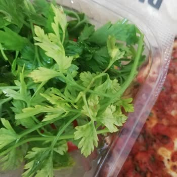 Pidem De Karnınızı Doyururken Dikkatli Olunmalı