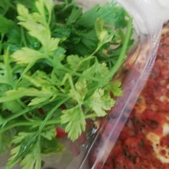 Pidem De Karnınızı Doyururken Dikkatli Olunmalı