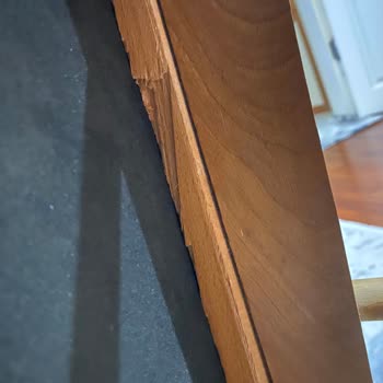 Milas Ev Konsept Şikayetçiyim