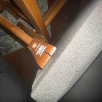 Milas Ev Konsept Şikayetçiyim