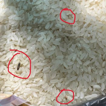 A101 Ovadan Marka Kurtlu Pirinç