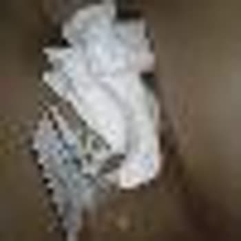 Robo Paramı Geri Ver