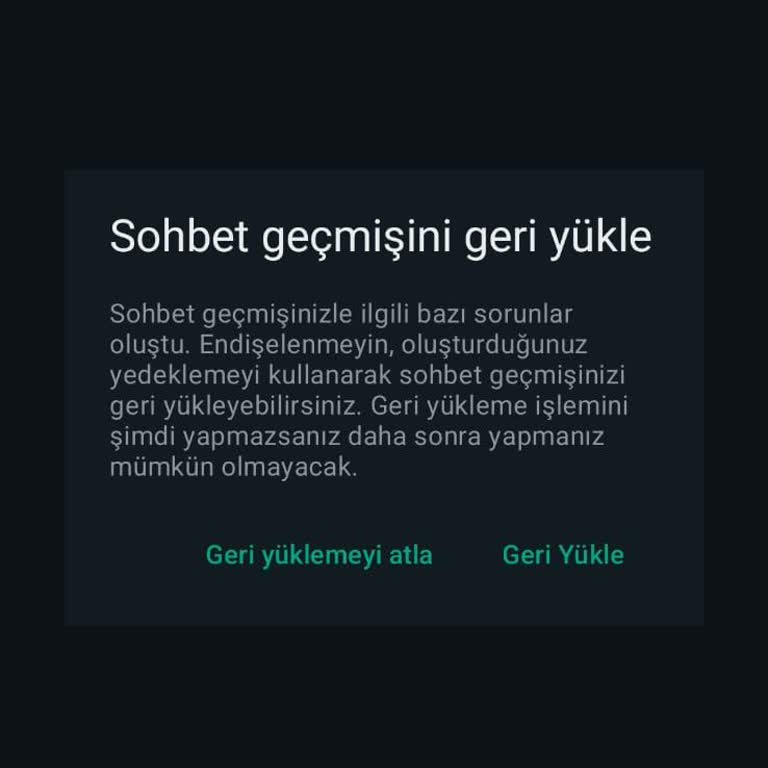 WhatsApp "Sohbet Geçmişiniz İle Alakalı Sorun Oluştu" Hatası
