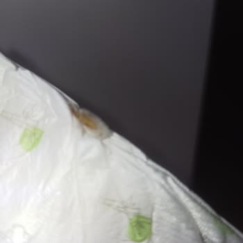 Konu: Sleepy Markalı Bezlerde Yaşanan Ciddi Sorun