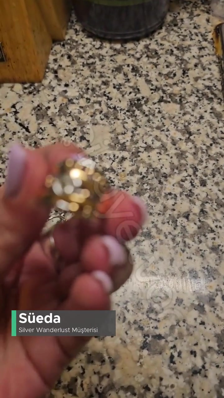 Silver Wanderlust 4000 Lira Verdim! Ama Değer mi? videonun kapak resmi
