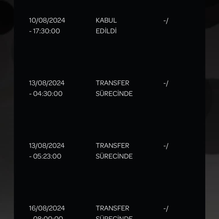 Turpex PTT PTT Kargo Yurt Dışı Kargo Sorunu